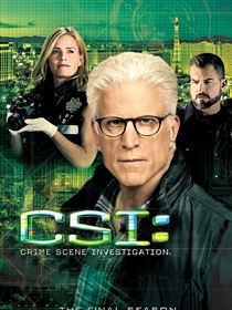 Les Experts saison 15